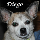 Diego ..2000-2015